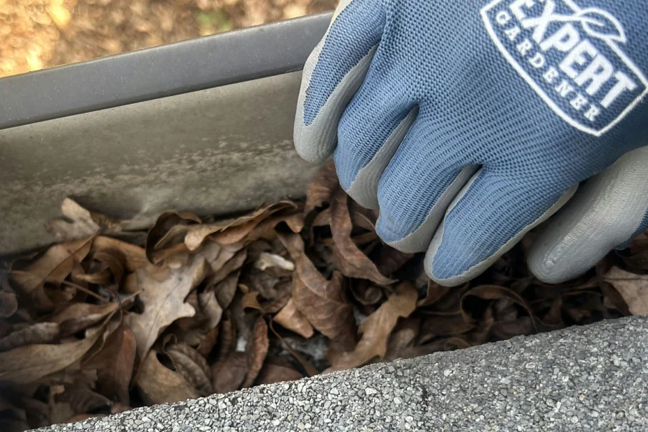 Gutter Cleaning Columbia MD