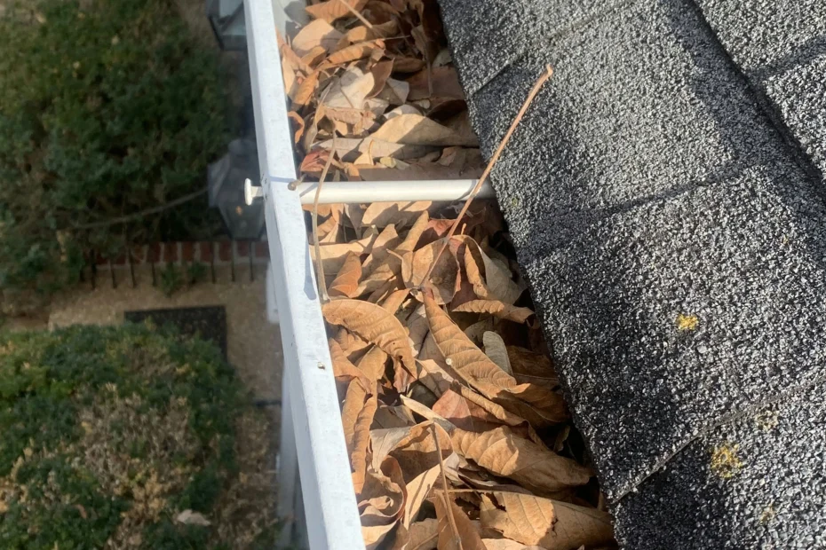 Gutter Cleaning Columbia MD